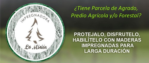 Polines y Estacones