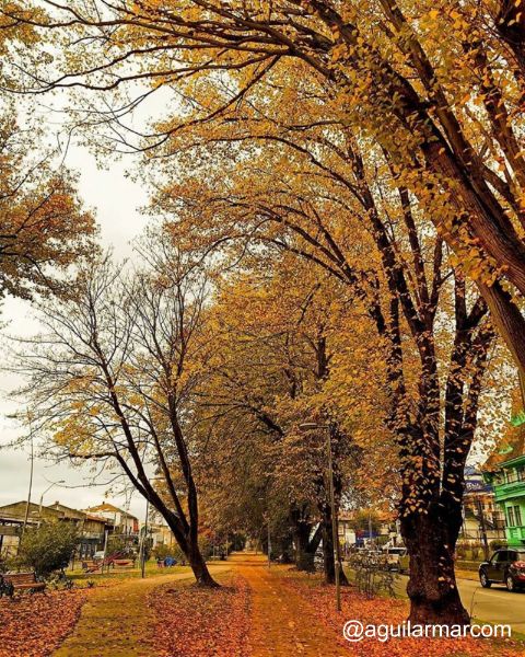 av-mackenna-osorno.jpg