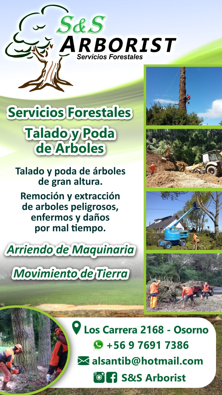talado poda en altura arboles en osorno