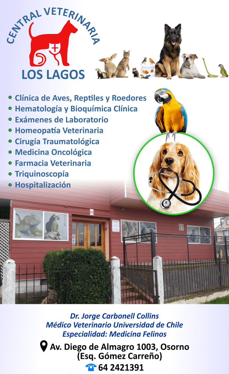 veterinaria en osorno los lagos veterinario jorge Carbonel