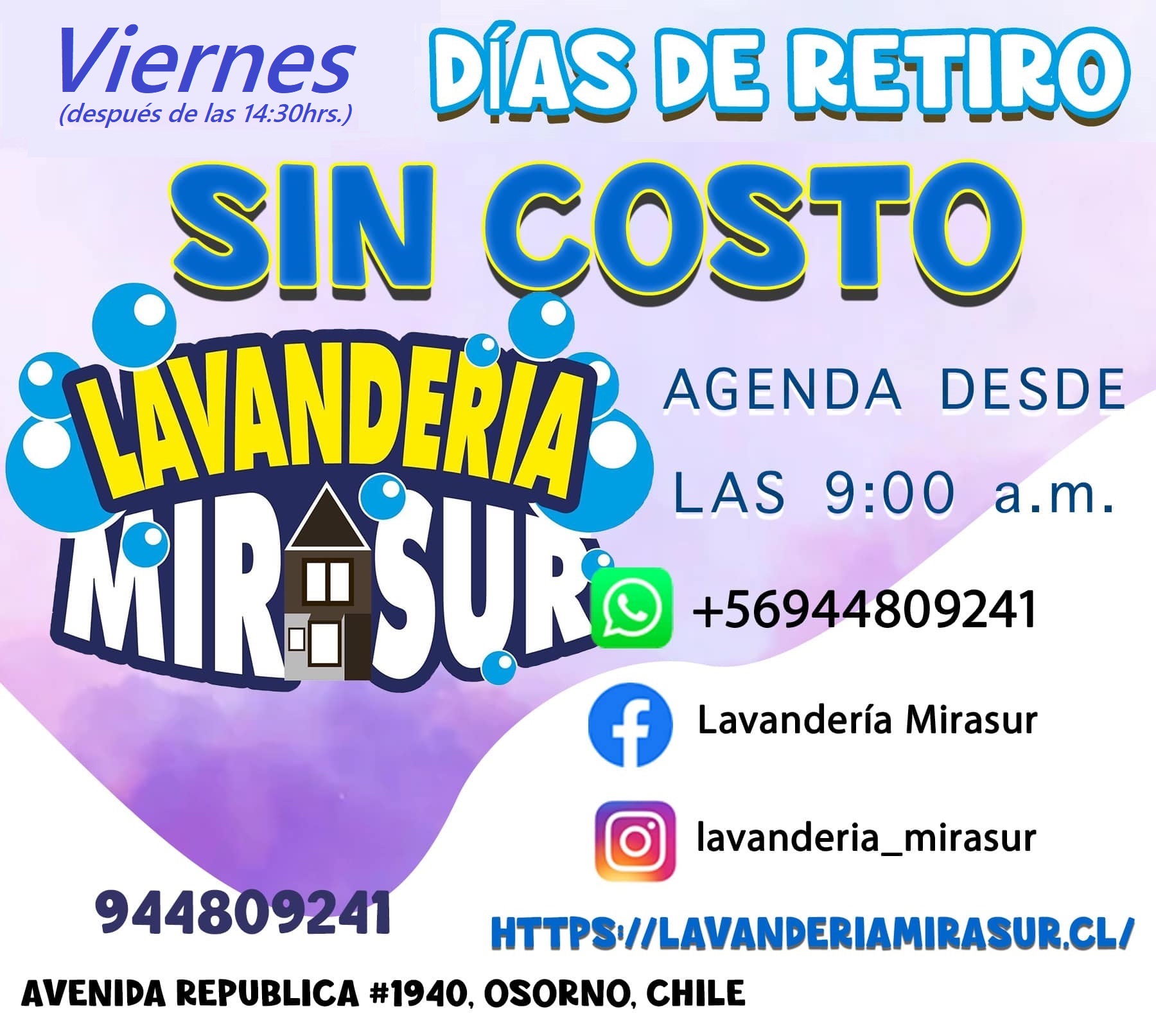 lavanderia a domicilio rahue osorno v